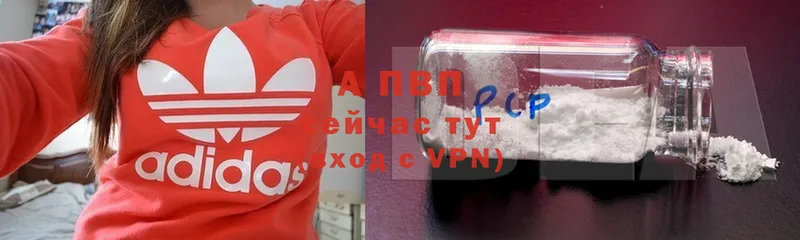 А ПВП СК  где продают наркотики  Гуково 